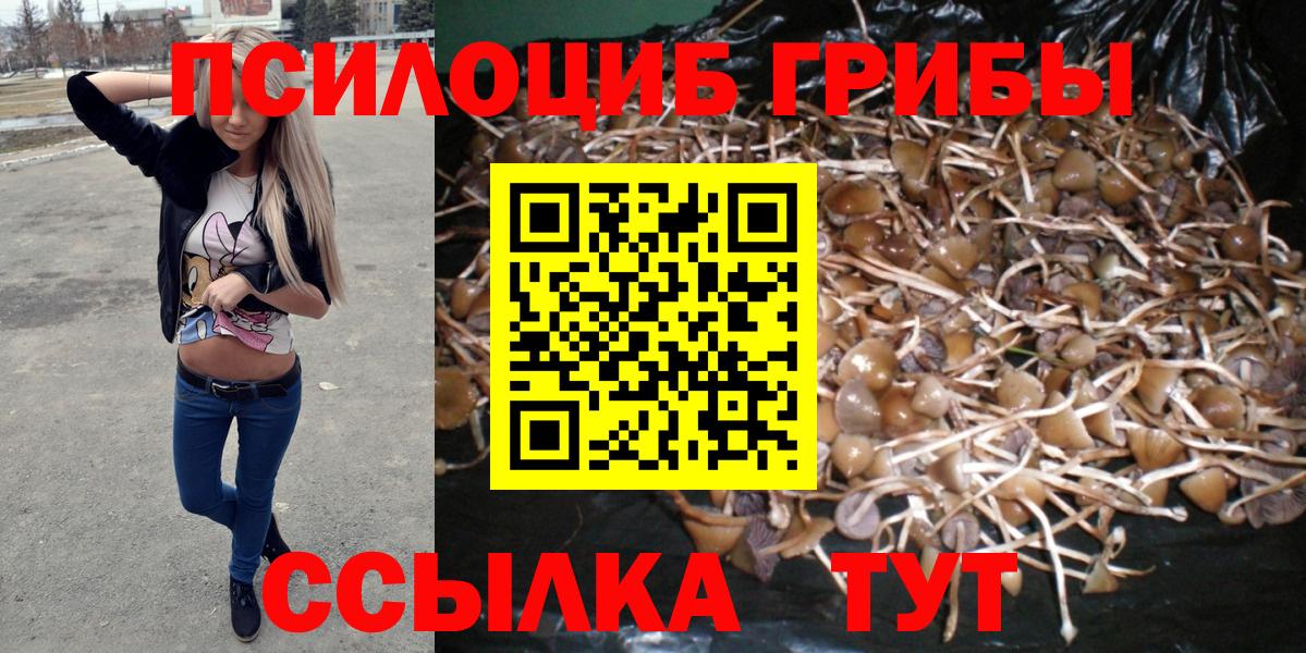 Псилоцибиновые грибы MAGIC MUSHROOMS  Саратов 