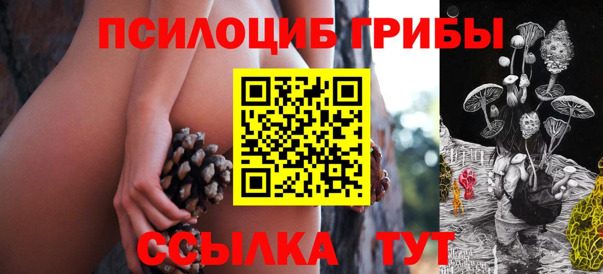 наркотики  Псилоцибиновые грибы MAGIC MUSHROOMS  Вход с VPN  Саратов 