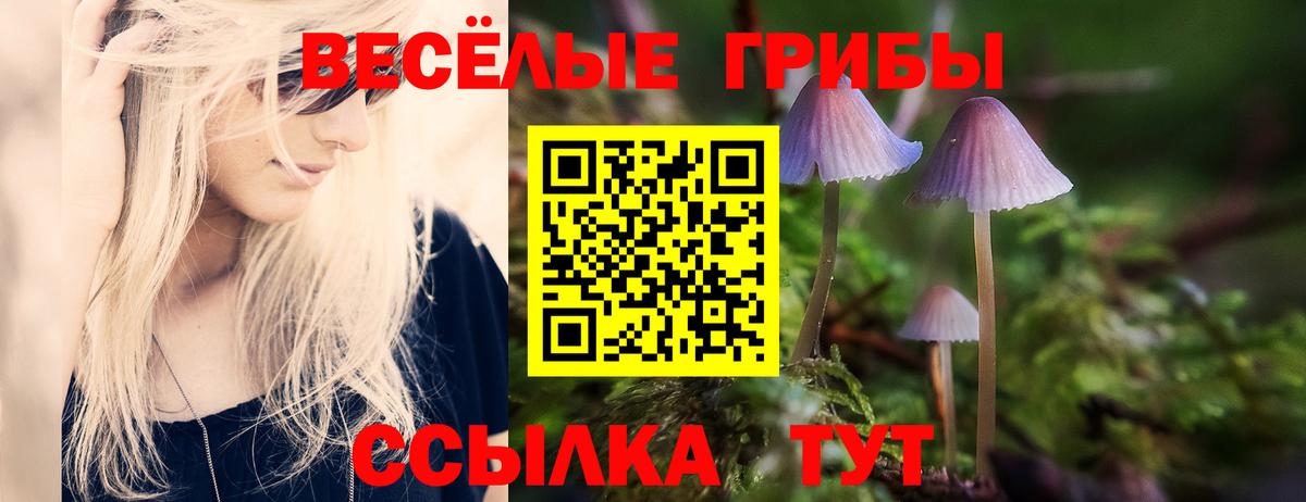 Псилоцибиновые грибы Cubensis Саратов